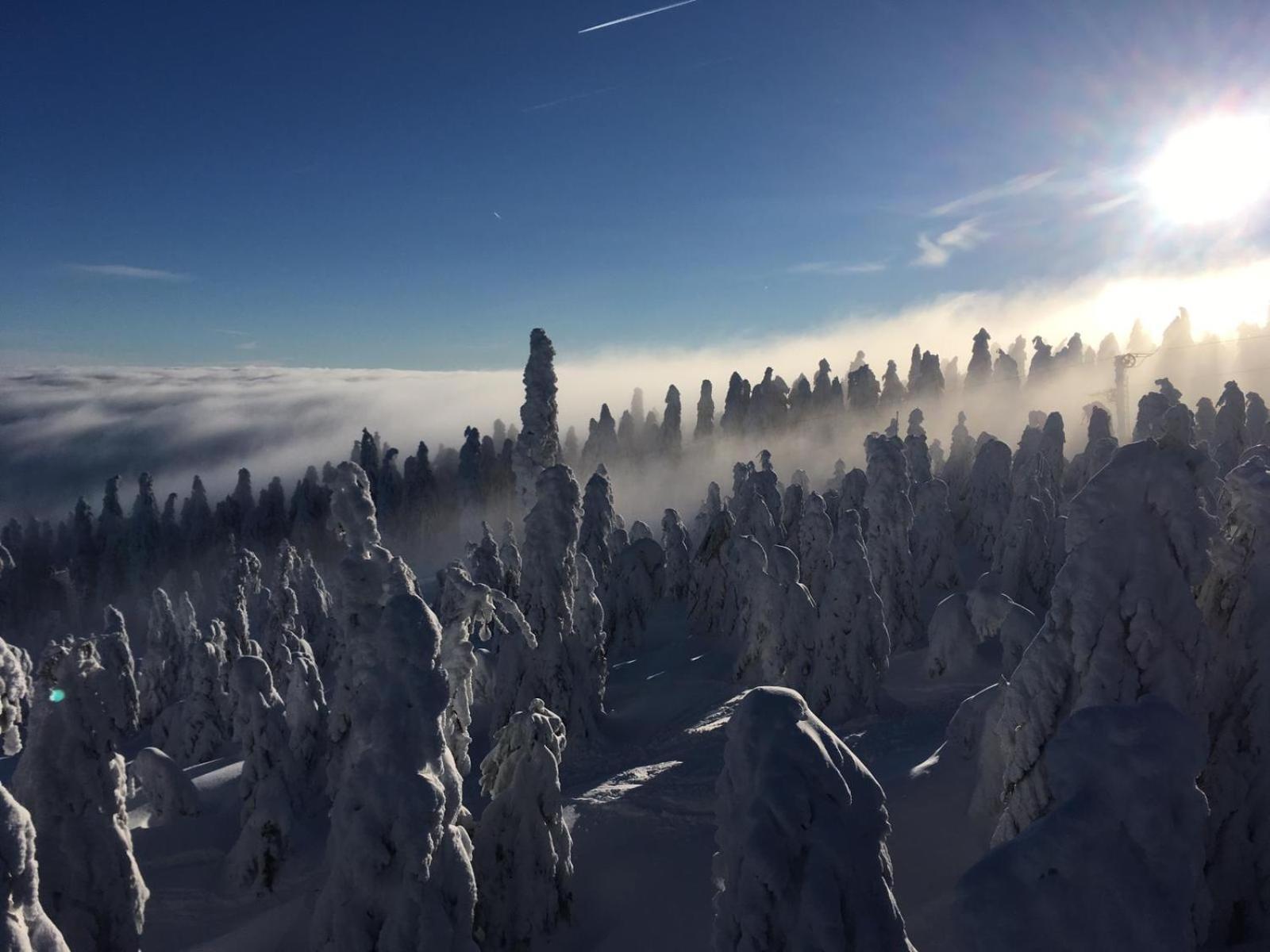 Apartmán Švícárek Loučná pod Klínovcem Exterior foto